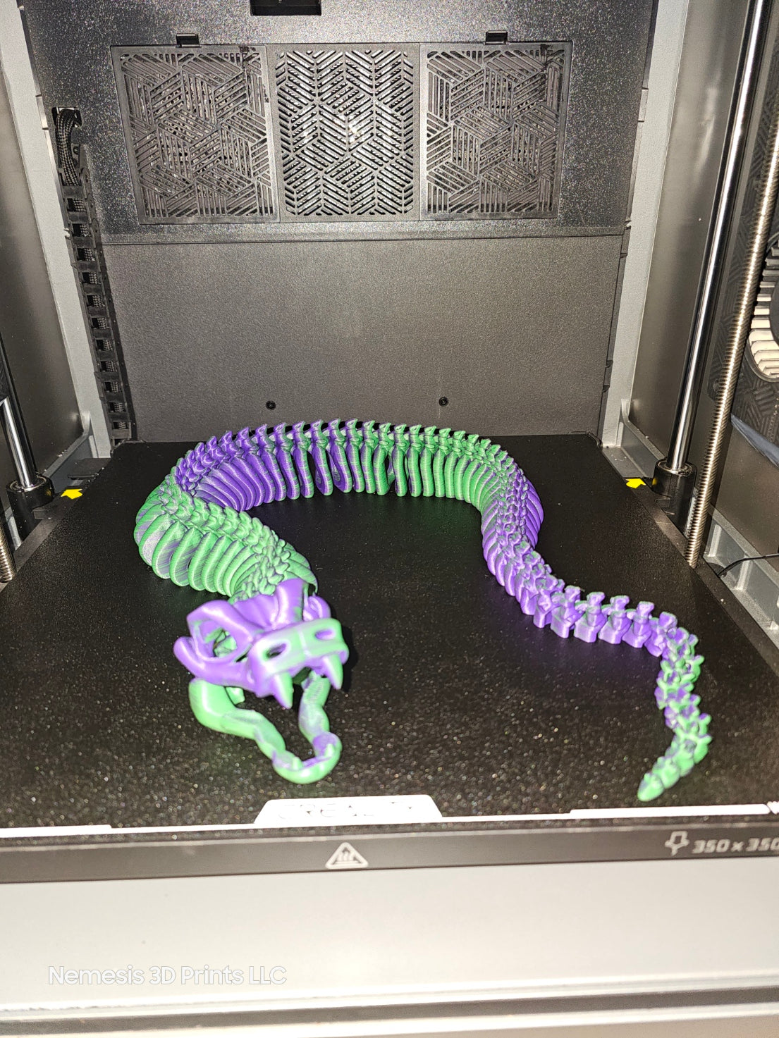 Skeletal Snake