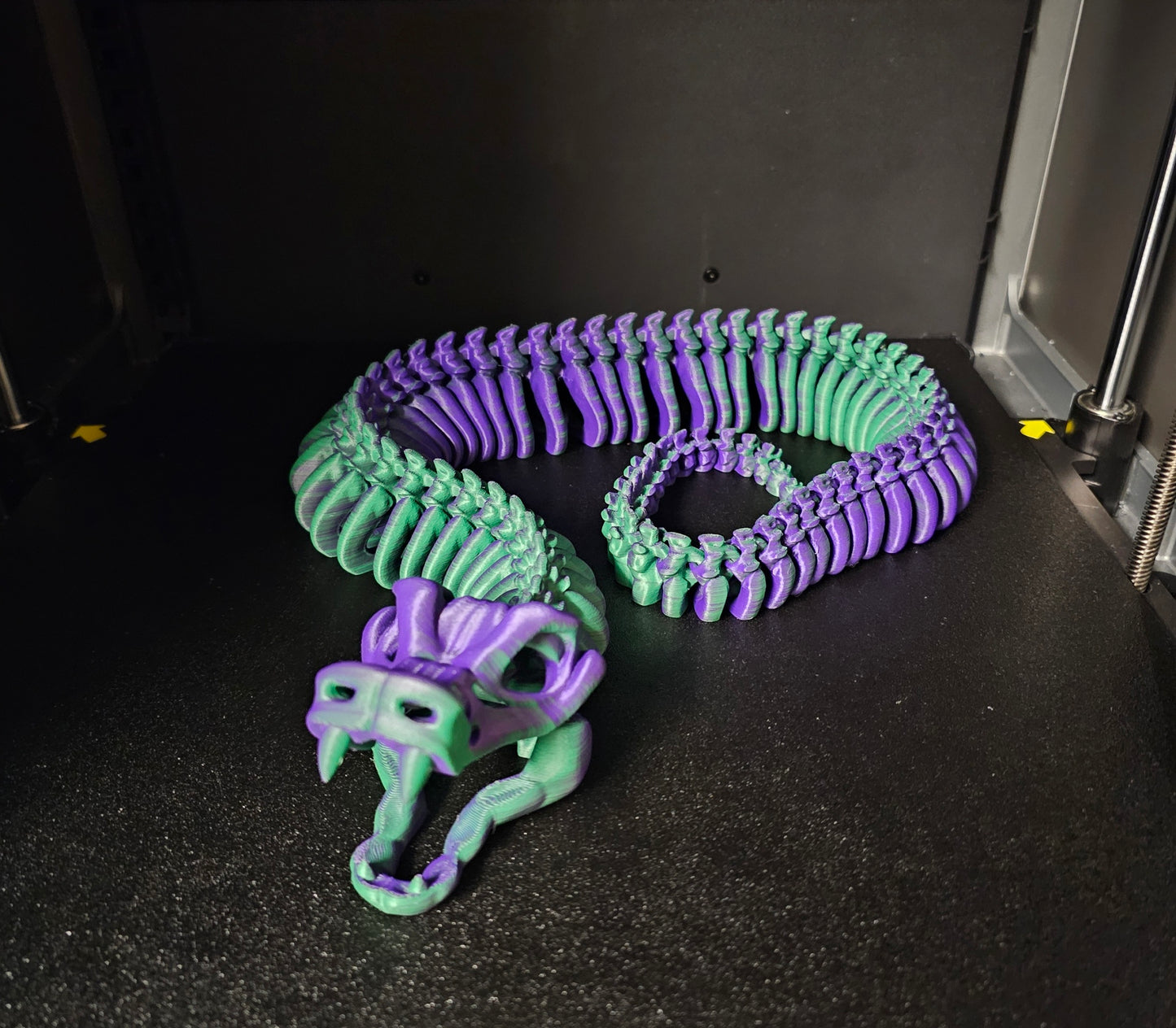 Skeletal Snake