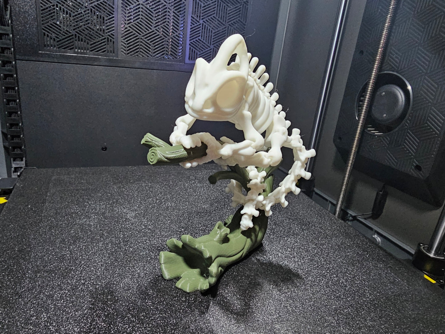 Skeletal Chameleon With Tree Base