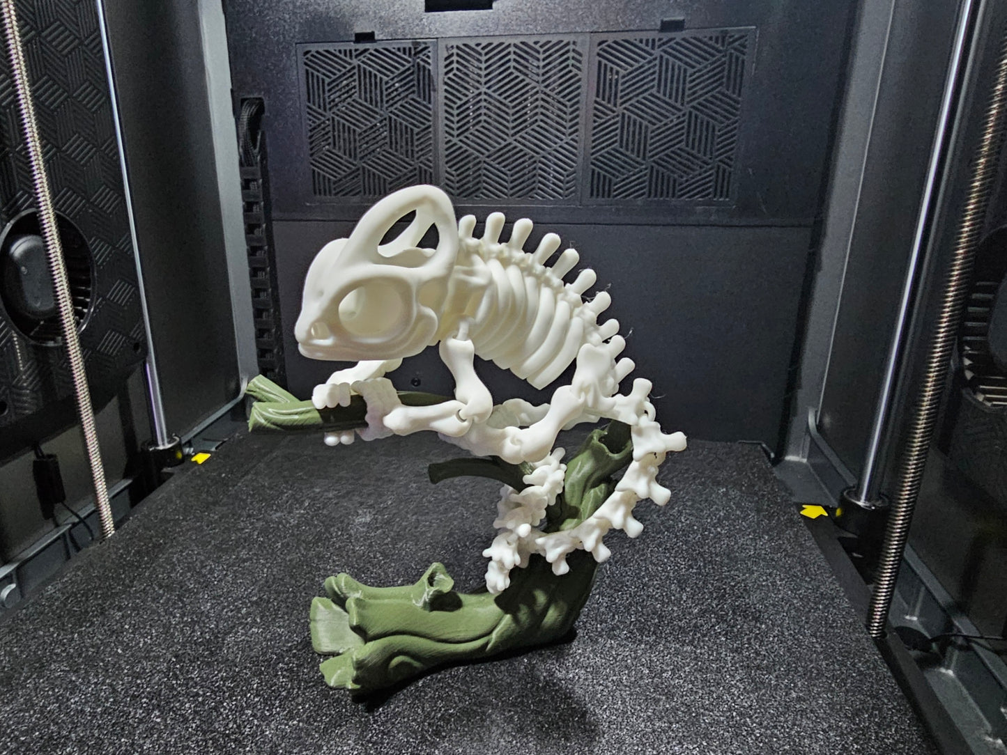 Skeletal Chameleon With Tree Base