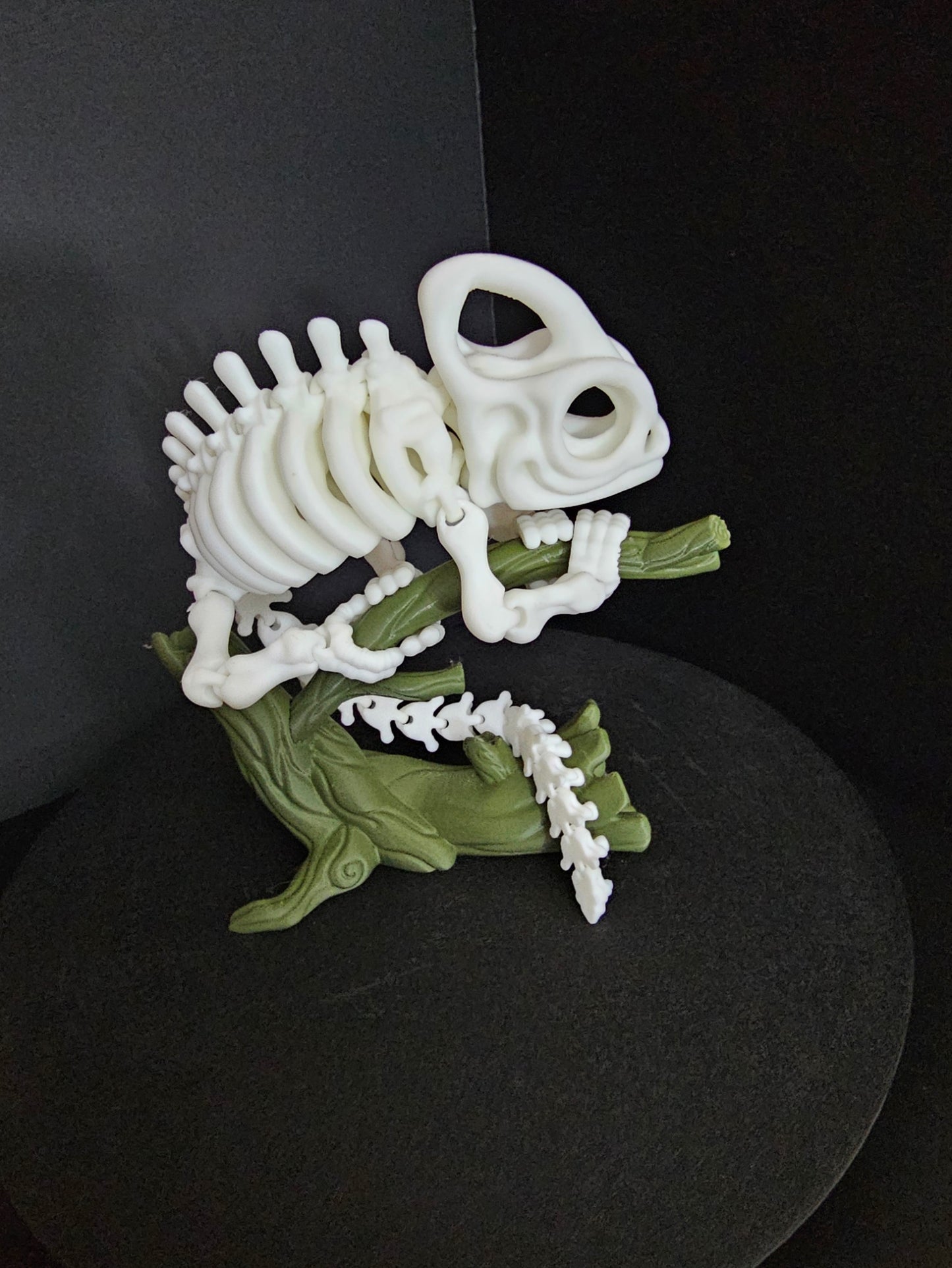 Skeletal Chameleon With Tree Base