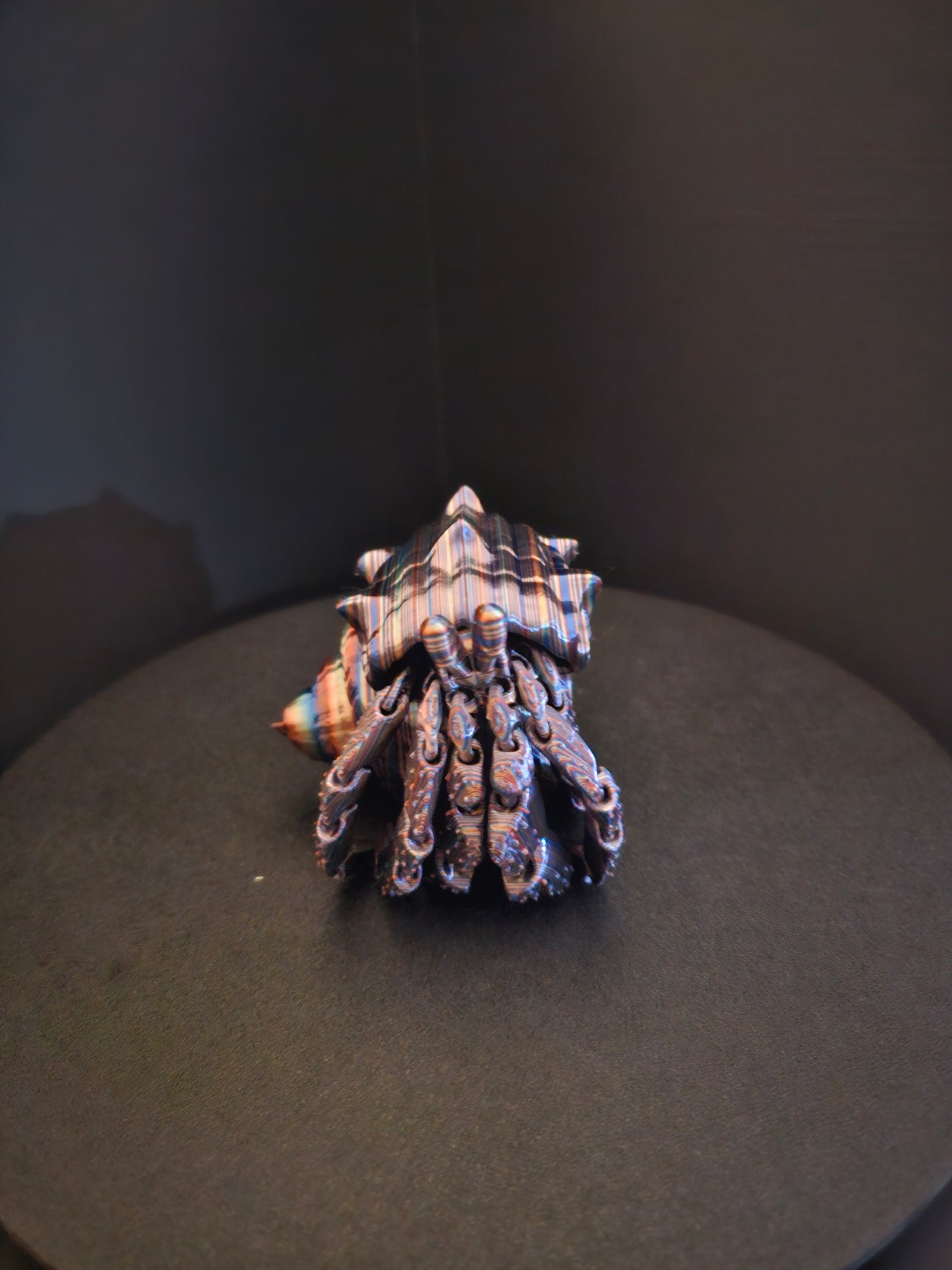 Hermit Crab