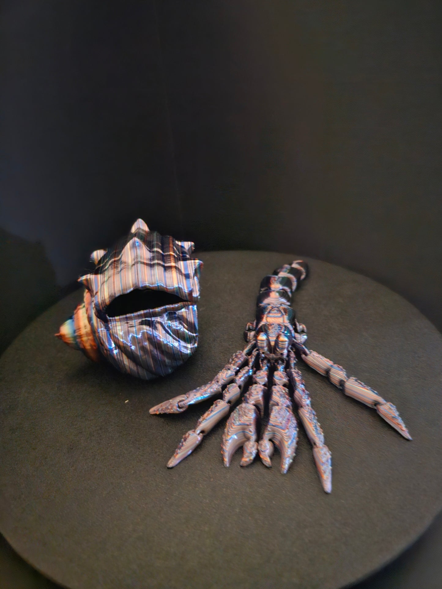 Hermit Crab