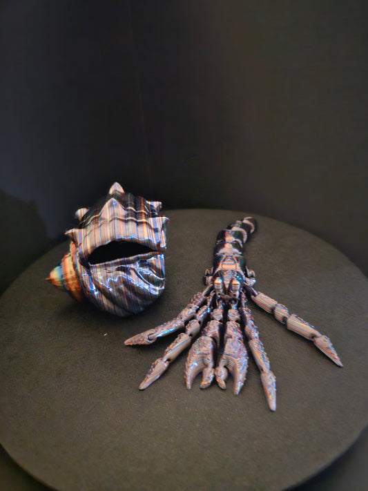 Hermit Crab